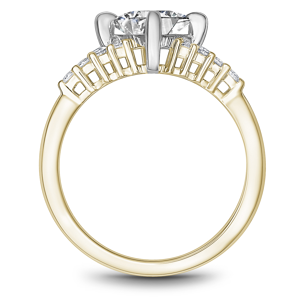 B362-01YWM-FCYA Image