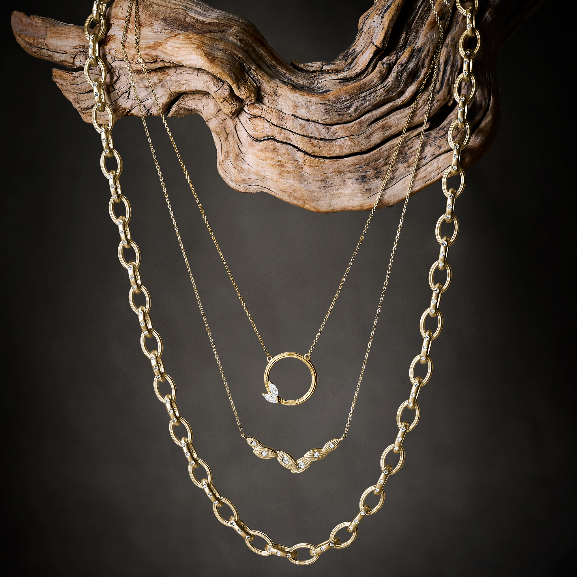 Launch of the RAE Collection