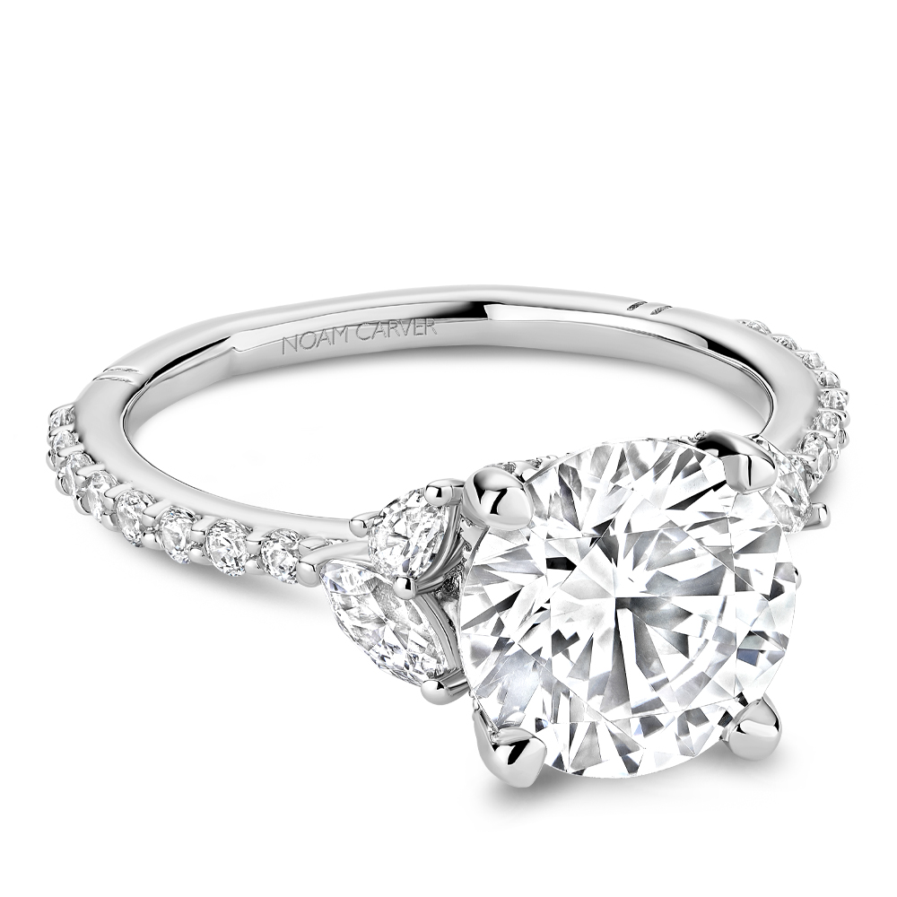A116-01WM-FCYA - Engagement Rings